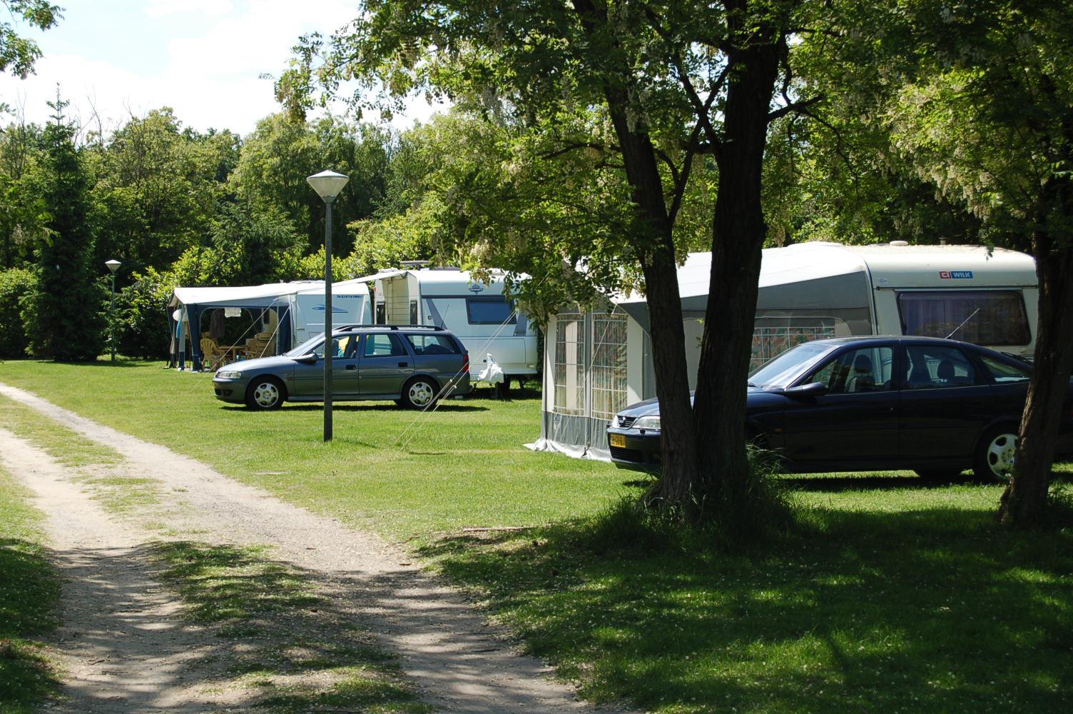 Glamping, Camping, De Oude Barrier, kamperen, safaritenten, kindvriendelijk, zwembad, Venray, Limburg, huren, natuur, Oorlogsmuseum, Overloon, Toverland