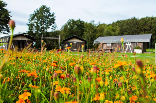GroepsGlamping